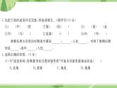 部編版語文五上  第四單元測試  課件PPT（含答案）