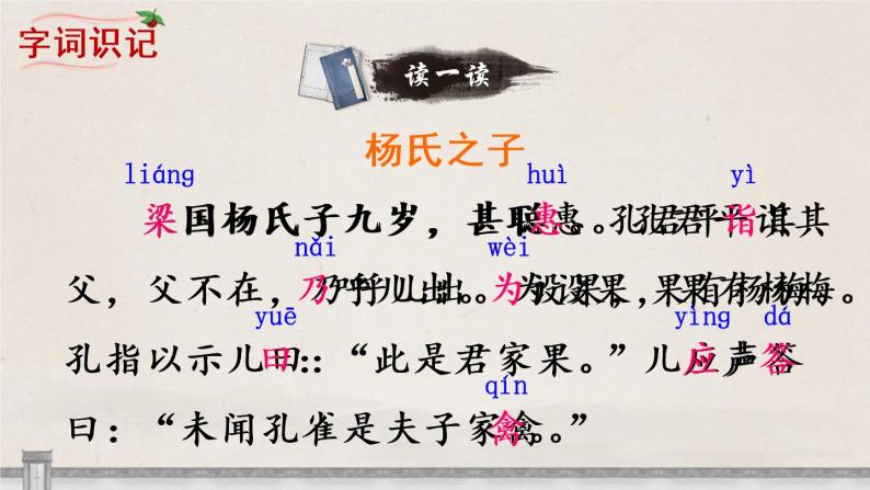 小学语文第八单元21 杨氏之子一等奖课文课件ppt-教习网|课件下载