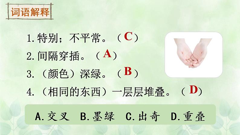 10《绿》课件PPT+生字课件+教案+音视频素材（含课文朗读）08