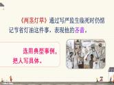 部编版语文五年级下册  习作例文  课件PPT+教案