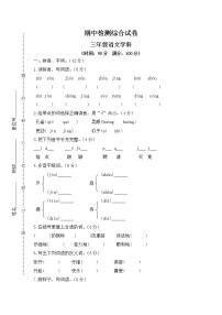 统编版三年级上册 小学语文期中测试卷（七）