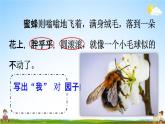 人教统编版五年级语文下册《2 祖父的园子 第2课时》教学课件PPT小学公开课