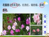 人教统编版五年级语文下册《2 祖父的园子 第2课时》教学课件PPT小学公开课