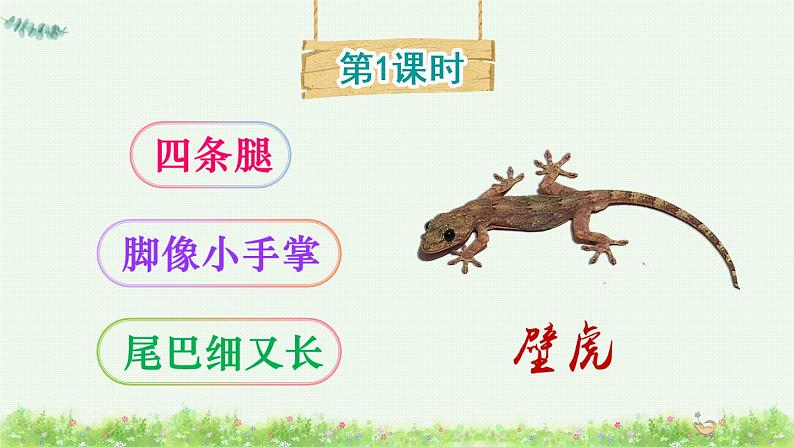 21《小壁虎借尾巴》课件PPT+生字课件+教案+音视频素材（含课文朗读）02