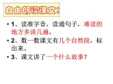 二年级上册语文人教部编版 5.玲玲的画  课件