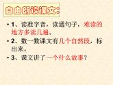 二年级上册语文人教部编版 5.玲玲的画  课件