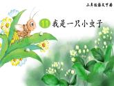 11《我是一只小虫子》课件PPT+生字课件+教案+音视频素材（含课文朗读）