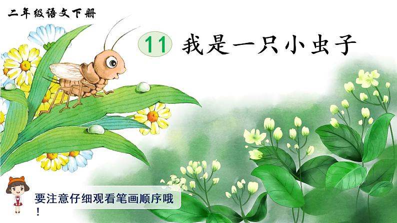 11《我是一只小虫子》课件PPT+生字课件+教案+音视频素材（含课文朗读）01