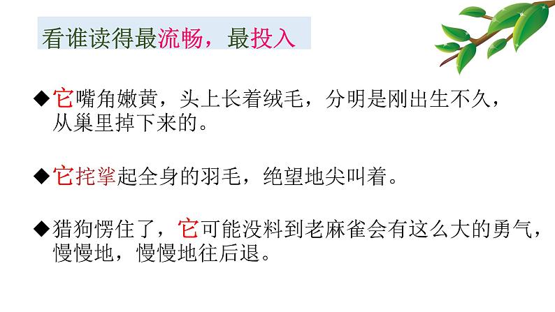 2021年部编版四年级上册《麻雀》课件第6页