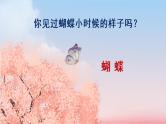 22《小毛虫》课件PPT+生字课件+教案+音视频素材（含课文朗读）