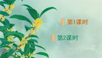 2020-2021学年2 落花生课堂教学ppt课件