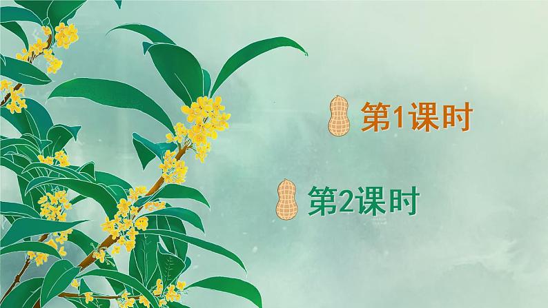 2 落花生（课件）第1页