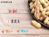（新）部编版语文5年级上册 第一单元 2 落花生 PPT课件+教案