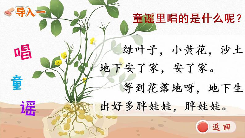 2 落花生（课件）第3页