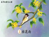 （新）部编版语文5年级上册 第一单元 3 桂花雨 PPT课件+教案