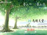 （新）部编版语文5年级上册 第七单元 23 鸟的天堂 PPT课件+教案