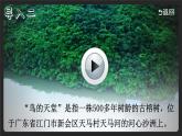 （新）部编版语文5年级上册 第七单元 23 鸟的天堂 PPT课件+教案