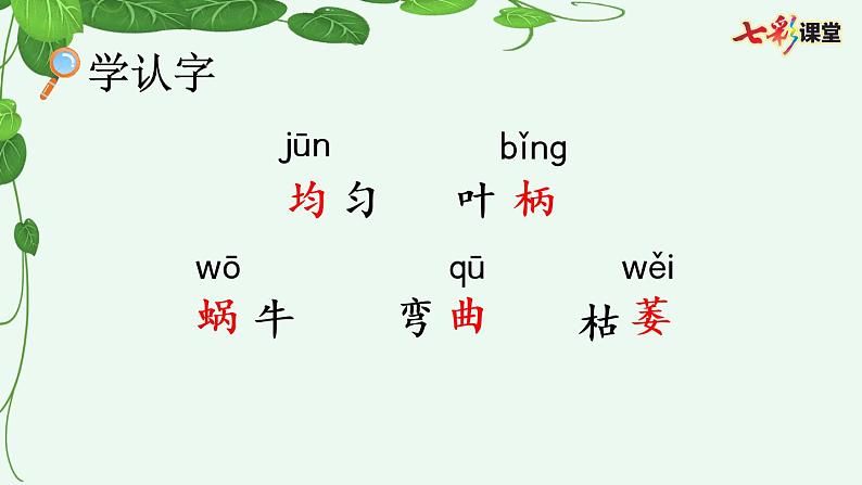 10 爬山虎的脚课件08