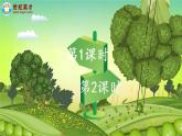 （新）部编版语文4年级上册 第二单元 5 一个豆荚里的五粒豆 PPT课件+教案