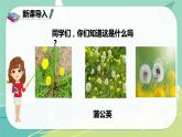 部编版三年级上册语文 16.金色的草地 课件