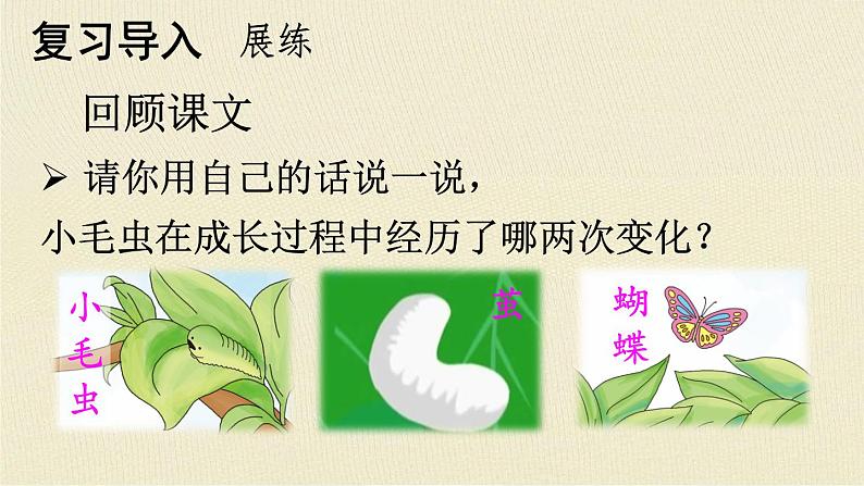 部编版语文《小毛虫》课件第5页