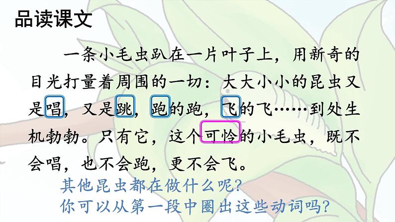 部编版语文《小毛虫》课件第7页