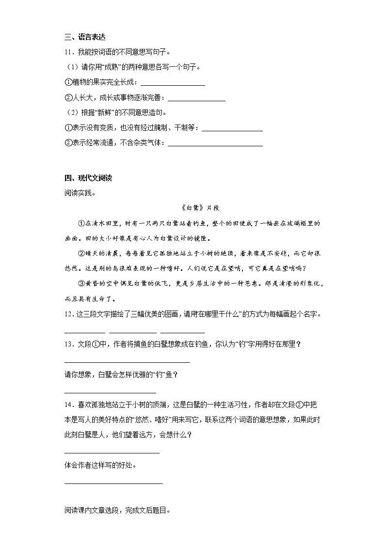 部编版语文五年级上册期中拔高复习（二） 试卷03