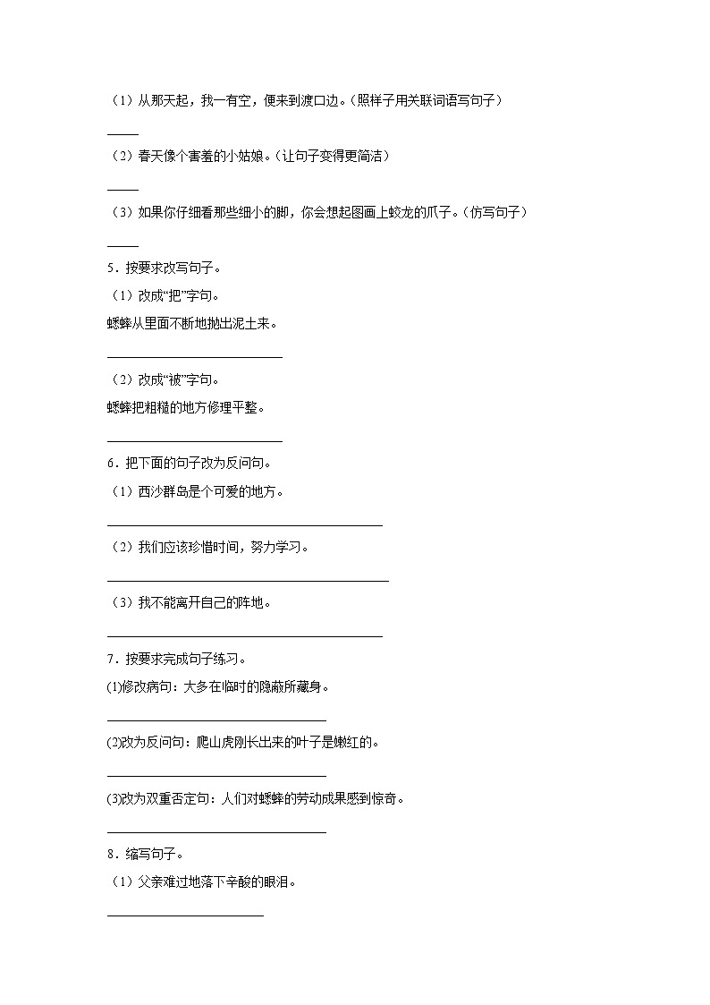 部编版语文四年级上册“双减”政策下期中专项复习——句型转换 练习02