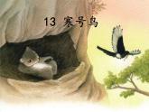 二年级上册语文人教部编版13.寒号鸟  课件
