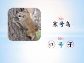 二年级上册语文人教部编版13.寒号鸟  课件