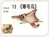 二年级上册语文人教部编版13.寒号鸟  课件