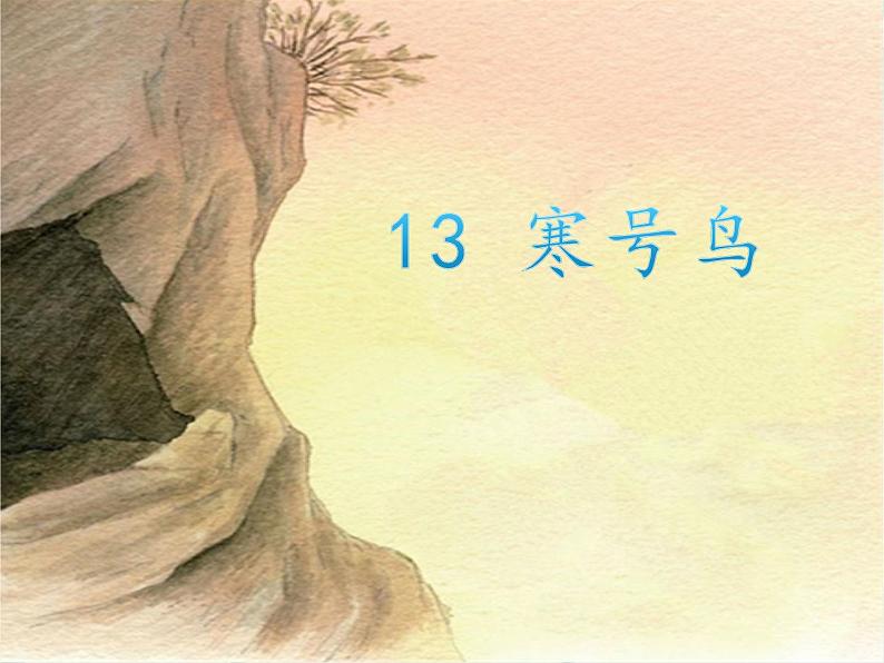 二年级上册语文人教部编版13.寒号鸟  课件01