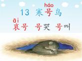 二年级上册语文人教部编版13.寒号鸟  课件
