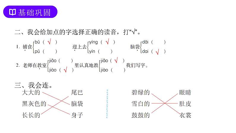 部编版语文二年级上册 1 小蝌蚪找妈妈  课件03