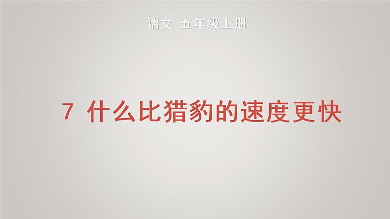 部编版五年级语文上册第二单元7什么比猎豹的速度更快教学课件(1)第1页