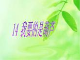 二年级上册语文人教部编版14.我要的是葫芦  课件