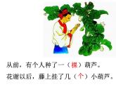 二年级上册语文人教部编版14.我要的是葫芦  课件
