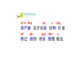 二年级上册语文人教部编版14.我要的是葫芦  课件