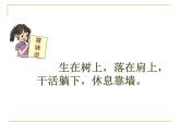 二年级上册语文部编版16.朱德的扁担 课件