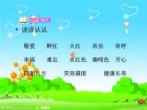 二年级上册语文部编版17.难忘的泼水节  课件