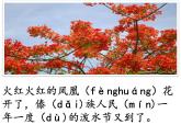 二年级上册语文部编版17.难忘的泼水节  课件