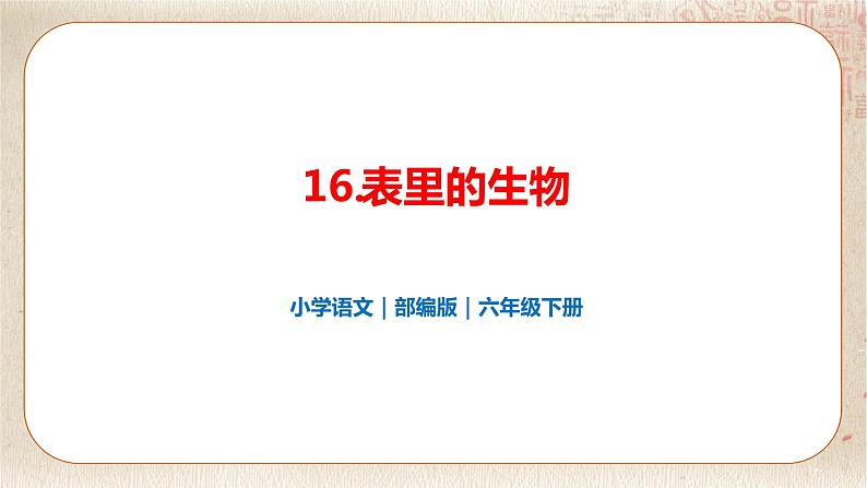 部编版小学语文六年级下册 第5单元 16.表里的生物  课件+教案01