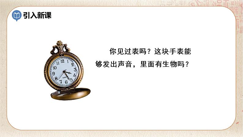 部编版小学语文六年级下册 第5单元 16.表里的生物  课件+教案05