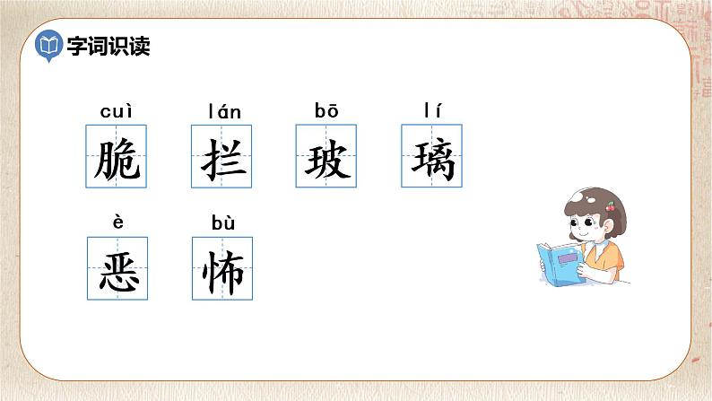 部编版小学语文六年级下册 第5单元 16.表里的生物  课件+教案07