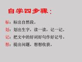 二年级上册语文部编版20.雾在哪里  课件