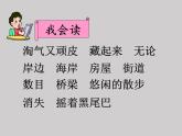 二年级上册语文部编版20.雾在哪里  课件
