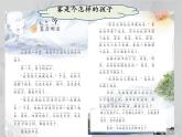 二年级上册语文部编版20.雾在哪里  课件