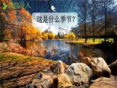人教统编版三年级语文上册《4 古诗三首 第1课时》课堂教学课件PPT小学公开课