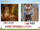 人教统编版四年级语文上册《19 一只窝囊的大老虎 第1课时》课堂教学课件PPT小学公开课