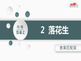 （教案匹配课件）2.落花生